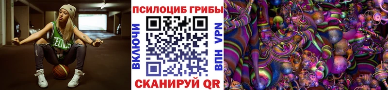 купить наркоту  Сергач  Псилоцибиновые грибы Psilocybe 