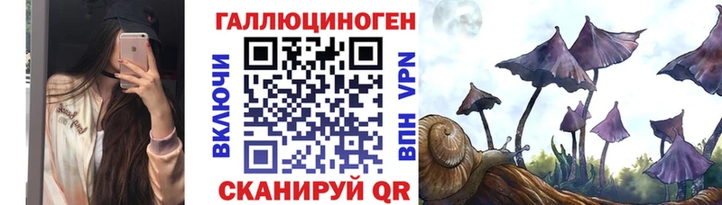 Псилоцибиновые грибы мицелий Сергач